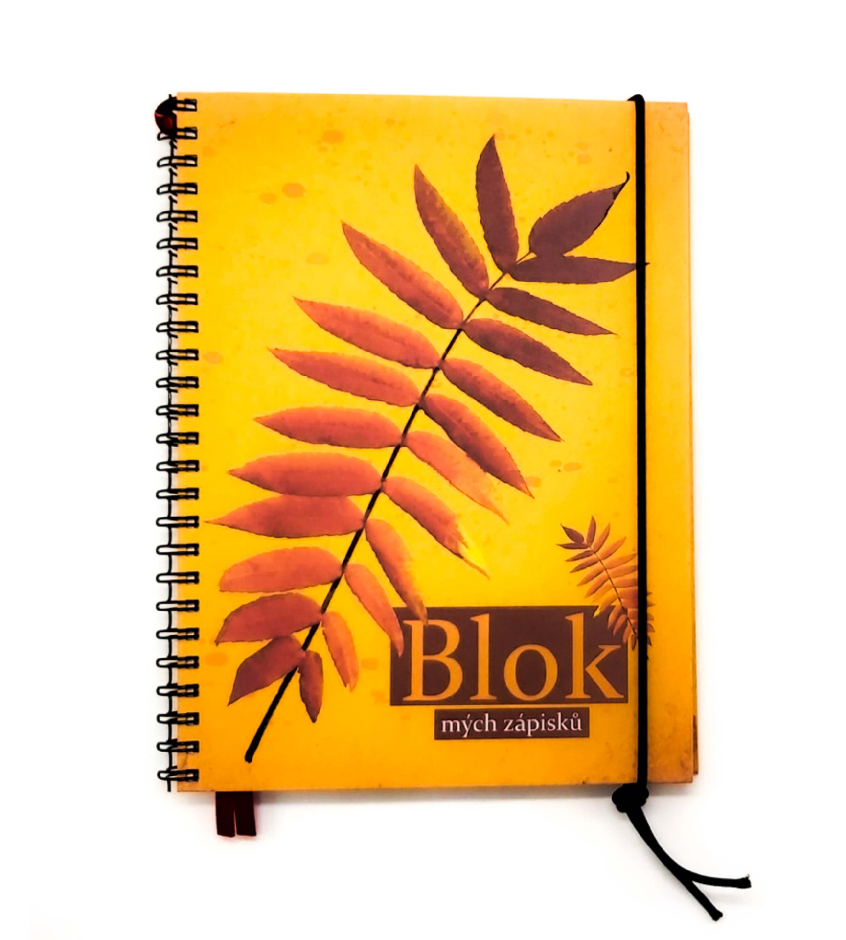 Blok mých zápisků - Podzimní motivy (škumpa)